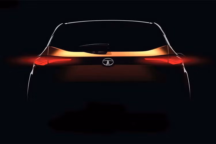 Tại thị trường Ấn Độ, Tata Harrier hoàn toàn mới sẽ sử dụng động cơ diesel 4 xi-lanh, dung tích 2.0 lít do Fiat Chrysler sản xuất. Động cơ này có 2 mức sức mạnh khác nhau, đồng hành với hệ dẫn động 4 bánh bán thời gian hoặc cầu trước. Trong tương lai, Tata Harrier có thể sẽ được bổ sung cả phiên bản hybrid.