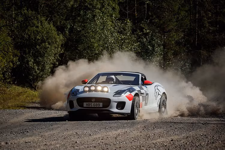 Cả hai chiếc xe F-TYPE mui trần loại xe đua việt dã (rally) này đều được xây dựng theo đúng tiêu chuẩn kỹ thuật FIA với hệ thống phanh nâng cấp và hệ thống treo tinh vi lắp đặt cùng lồng bảo vệ chống lật, ghế đua với bộ đai an toàn 6 điểm, trang bị dàn đèn trên nắp ca-po và bình cứu hỏa.