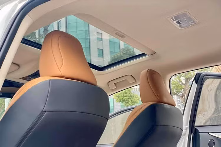 Bên cạnh đó, NX mới tiếp tục vẫn kế thừa các tính năng an toàn hiện đại của các phiên bản trước như: Hệ thống cảnh báo điểm mù BSM, Hệ thống cảnh báo va chạm khi lùi RCTA và Hệ thống cảnh báo áp suất lốp TPWS. Xe cũng sở hữu hệ thống treo tự động thích ứng (AVS) giúp tối ưu hóa sự ổn định và linh hoạt của chiếc xe trong mọi điều kiện đường sá.