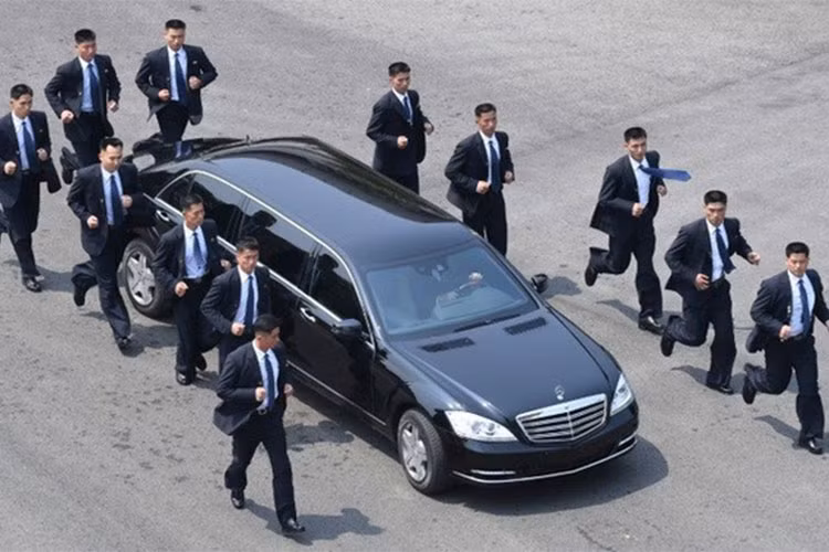 Đây là mẫu xe bọc thép được Mercedes-Benz phát triển với mục đích chuyên chở, bảo vệ các chính khách và các nhân vật quan trọng, đạt cấp bảo vệ VR9 (theo BRV2009, version 2). Ở thủ đô Bình Nhưỡng, nhà lãnh đạo Triều Tiên Kim Jong-un sử dụng ít nhất 3 chiếc xe này.