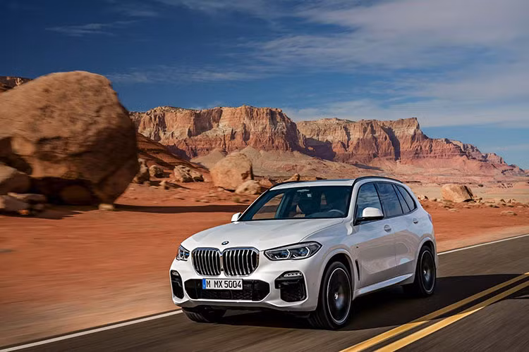 Mẫu SUV hạng sang BMW X5 2019 thế hệ hoàn toàn mới (G05) ra đời để cạnh tranh trực tiếp với những đối thủ như: Mercedes-Benz GLE, Audi Q7 và Volvo XC90 hay Porsche Cayenne. Hiện tại, BMW X5 là mẫu xe SUV hạng sang hàng đầu của BMW khi chiếc X8 phiên bản thương mại vẫn chưa được ra mắt.