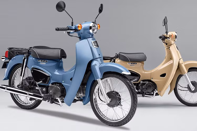 Vào năm 1958, mẫu xe đầu tiên mang số hiệu C100 của dòng xe Cub được ra đời, trở thành một trong những mẫu xe gắn máy bán chạy nhất thế giới. Đến nay, sau hơn 60 năm hình thành và phát triển thì mẫu xe máy Honda Super Cub vẫn được sản xuất với số lượng khủng khi đây là một trong những chiếc xe máy phù hợp nhất để sử dụng tại các đô thị.