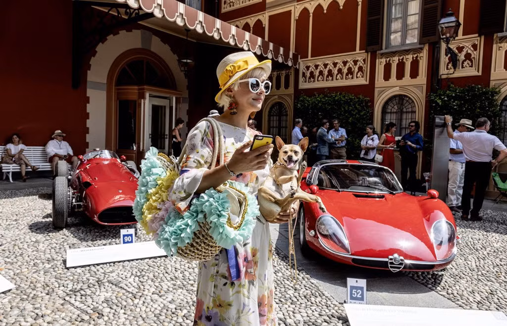 Khách tham quan đang bế chú chó đi ngang qua chiếc Maserati SpA 250F đời 1954 (trái), mẫu xe đạt giải Coppa d'Oro Villa d'Este và chiếc Alfa Romeo 33/2 Stradale đời 1968. Stradale từng là một trong số mẫu xe nhanh nhất những năm 60 thế kỷ trước.