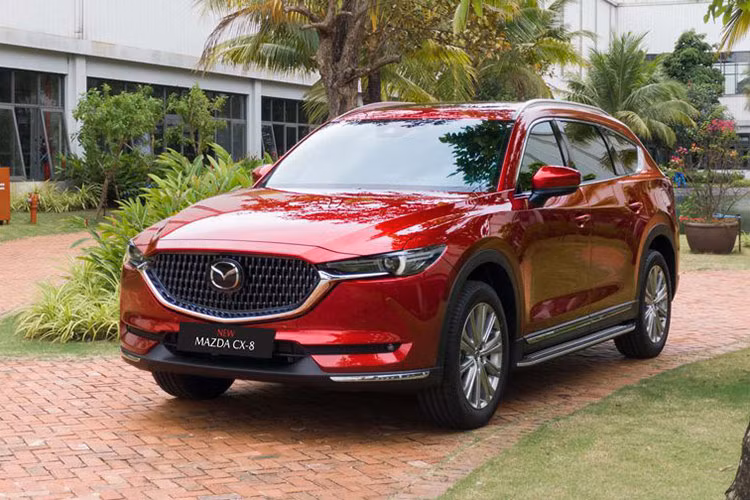 Vị trí thứ 3 trong phân khúc thuộc về Mazda CX-8 với 241 xe hoàn tất thủ tục lăn bánh. Trong tháng 7, mẫu SUV của Mazda được áp dụng ưu đãi hấp dẫn nhưng lượng xe bán ra không đạt như kỳ vọng. Sau 7 tháng cạnh tranh, tổng doanh số của Mazda CX-8 đạt 1.282 xe.