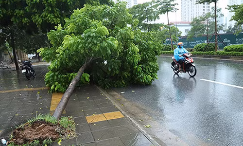 Du bao thoi tiet 27/8: Chieu va toi Ha Noi co mua dong