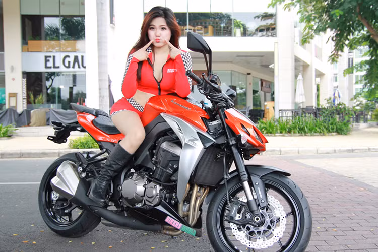 Xe được trang bị hệ thống phanh an toàn với phanh đĩa đôi phía trước, đơn sau, đi kèm hệ thống chống bó cứng phanh ABS cho cả trước và sau. Ngoài ra, hệ thống giảm xóc hoạt động linh hoạt và nhạy bén thương hiệu Showa cũng được trang bị. Hệ thống treo phía trước có thể điều chỉnh để lựa chọn mức phù hợp với mỗi tay lái...