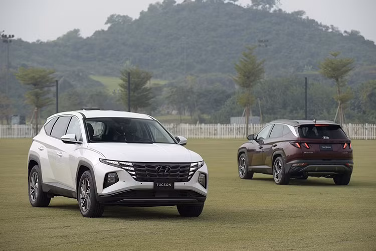  Hyundai Tucson: 1.177 xe Hyundai Tuccson bán được 1.177 xe trong tháng 11, giảm 72 xe so với tháng trước. Kết quả này, khiến Tucson tụt 2 bậc xuống vị trí thứ 8 trong bảng xếp hạng. Lũy kế 11 tháng đầu năm 2023, Hyundai bán được 5.017 xe Tucson ra thị trường. 