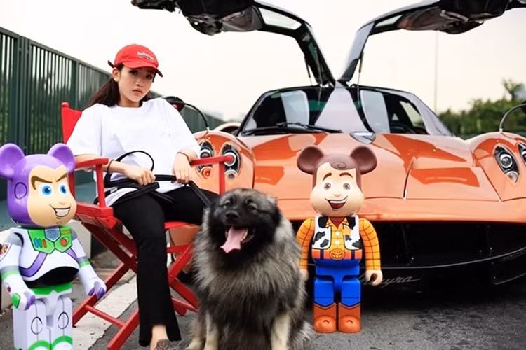 Mới đây, những bức ảnh của con gái Minh Nhựa chia sẻ chụp cùng siêu xe Pagani Huayra triệu đô bất ngờ xuất hiện dày đặc trên mạng xã hội. Được biết, những hình ảnh này nhằm quảng bá cho thương hiệu thời trang của riềng Phạm Trần Nguyễn Minh Anh, còn có nickname - Joyce Pham.
