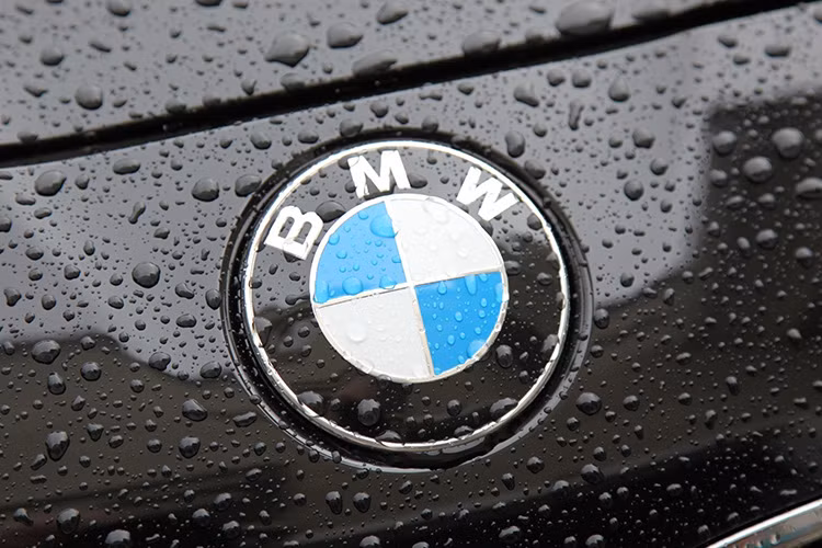 Trong suốt Thế chiến thứ nhất, BMW là nhà cung cấp chính các động cơ máy bay cho chính phủ Đức, nên biểu tượng này còn được cho là tượng trưng cho cánh quạt máy bay quay tròn của Bavarian Luftwaffe thời bấy giờ chỉ có hai màu sắc đặc trưng.