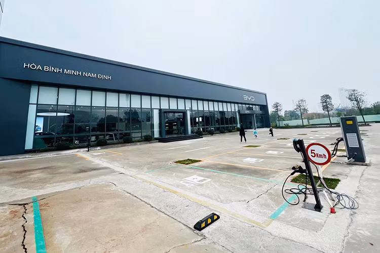 BYD - ong trum oto dien the gioi nhung 