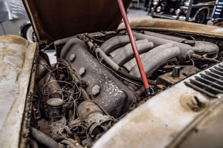 Amelia Island Concours d'Elegance là sự kiện từ thiện ôtô được tổ chức thường niên vào cuối tuần thứ 2 của tháng 3. Sự kiện được tổ chức lần đầu tiên năm 1996. Sự kiện được nhà văn Keith Martin ví như một cuộc thi sắc đẹp cho những chiếc xe quý hiếm và thanh lịch.