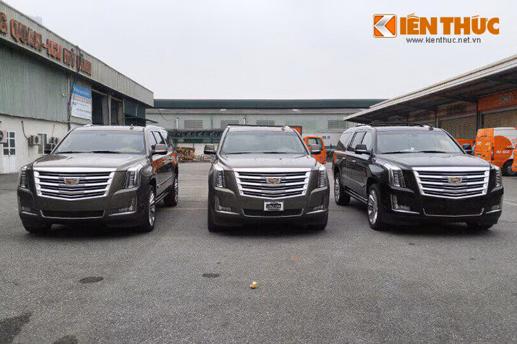 Cadillac Escalade ESV sở hữu kích thước D x R x C lần lượt là 5.697 x 2.045 x 1.880 mm. Chiều dài cơ sở của Escalade ESV là 3.302 mm, dài hơn bản Escalade thường 350 mm. Riêng những chiếc xe trong bài viết này thuộc phiên bản cao cấp nhất là Escalade Platinum, dàn xe được nhập khẩu nguyên chiếc về một showroom xe sang tại Hà Nội.