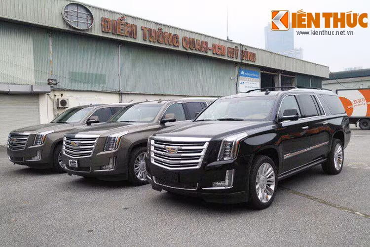 Trước đó, Cadillac Escalade 2015 đã về Việt Nam với số lượng ít ỏi phân bổ ở TP HCM và Hà Nội. Với dàn xe mới nhất trong bài viết này, đây là những phiên bản cao cấp nhất so với các bản Cadillac Escalade thường từng xuất hiện trước đây.
