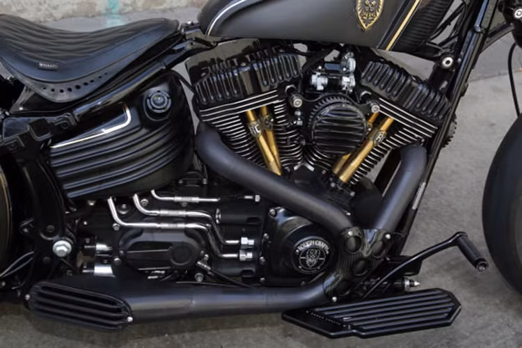Khối động cơ V-twin cơ bắp của chiếc xe. Đèn, nắm tay lái, che đầu, nắp nhiên liệu và các bộ phận khác cũng đều được tùy chỉnh lại. Ngoài ra, để chân xe được làm lại đẹp và thoải mái hơn cho người điều khiển.