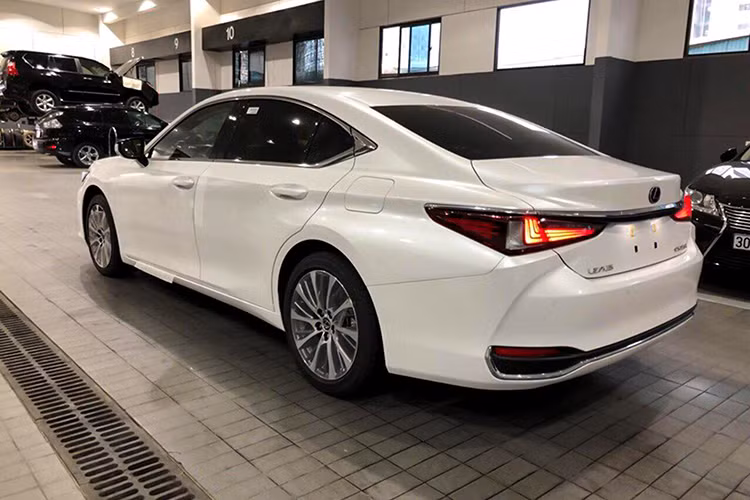 Được biết, các phiên bản Lexus ES250 và ES260 2019 hoàn toàn mới vốn được phát triển dành riêng cho thị trường Trung Quốc. Trong khi đó, tại thị trường khác như Mỹ - ES 2019 sẽ có các biến thể như: ES300h, và ES350 (bao gồm các phiên bản F-Sport thể thao) sử dụng động cơ V6 3.5L hút khí tự nhiên hoặc I4 2.5L lai điện.