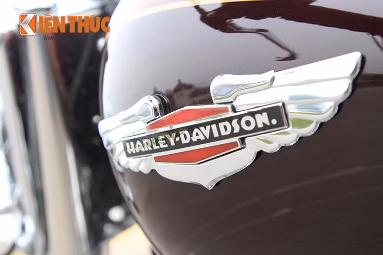 Những chiếc Softail không chỉ mang vẻ ngoài với hơi hướng cổ điển mà còn mang trên mình “chất” của dòng xe danh tiếng Harley-Davidson. 