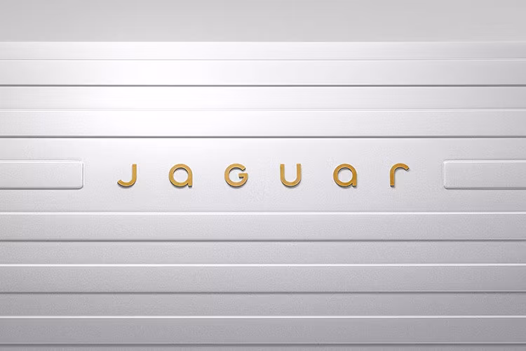 Hang xe Jaguar bat ngo lot bo logo cu, doi logo moi-Hinh-2