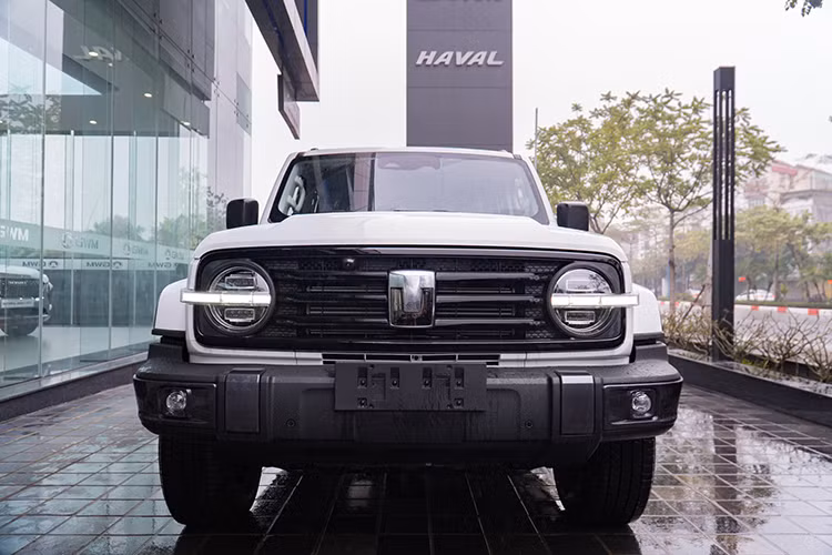 Theo một số báo nước ngoại nhận xét, Tank 300 hiện đang là mẫu SUV địa hình "phong cách hầm hố" được ưa chuộng, bên cạnh đó, cũng có một số lượng lớn chủ xe sau khi mua sẽ tân trang lại xe, nhờ đó, giúp Tank 300 2024 tạo thành một văn hóa chơi xe khá độc đáo. 