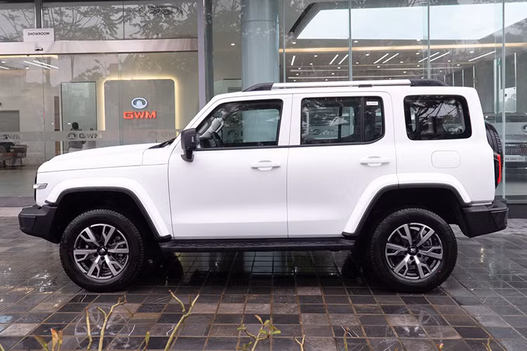 Nhà phân phối chưa công bố thời điểm mở bán cũng như giá chính thức của Tank 300. Tuy nhiên, theo thông tin từ tư vấn bán hàng thì mức giá xe Tank 300 tại Việt Nam sẽ có hai phiên bản với mức giá lần lượt là 1,5 tỷ đồng và 1,8 tỷ đồng. So với các đối thủ, mức giá của Tank 300 cao hơn đáng kể. 