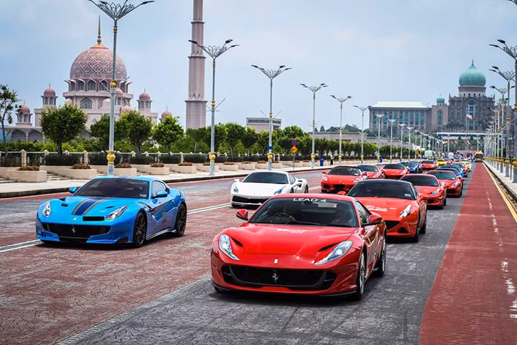 Ngoài ra, 1 số chiếc mang các màu lạ như xám nhìn thấy trên chiếc Ferrari GTC4Lusso, màu vàng của Ferrari 458 Spider, màu trắng của Ferrari 458 Italia, Ferrari 458 Speciale, màu xanh Ferrari F12tdf và màu xanh Green Jewel của chiếc Ferrari 812 Superfast.