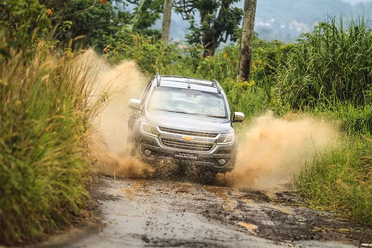 Không giống như một chiếc xe con phổ thông, SUV cho phép người lái đi đến gần như là bất cứ đâu để tận hưởng những chuyến phiêu lưu ngoài trời như cắm trại, câu cá hay leo núi. Thêm nữa, những mẫu SUV mới đều có sẵn hệ thống treo off-road, khả năng lái xe ở dải tốc độ thấp, khả năng lội nước sâu, gầm cao và 2 cầu giúp phân bổ lực đến cả 4 bánh, cho lực kéo tối đa và khả năng vận hành trên các cung đường địa hình hoặc đường trơn trượt.