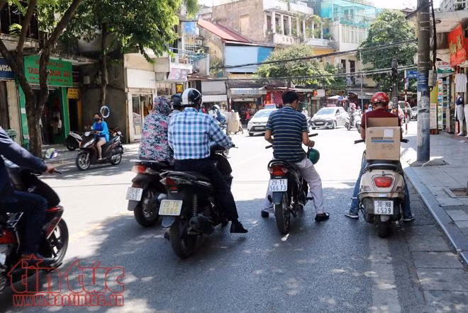 Tận dụng bóng râm hiếm hoi để trốn nắng.