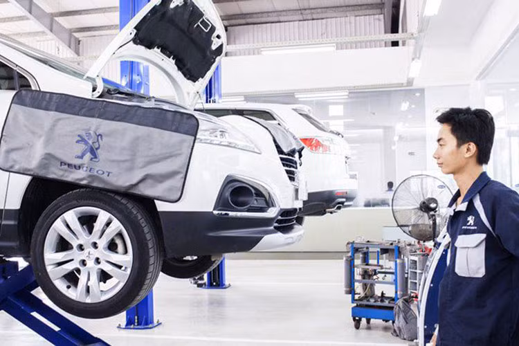 Quy tắc đầu tiên mà chủ xe nào cũng cần phải làm là bảo dưỡng chiếc xe của mình. Việc bảo dưỡng định kì tại hãng xe làm giảm nguy cơ xảy ra hỏng hóc và tăng độ tin tưởng của chiếc xe khi bán. Một chiếc xe được chăm sóc cẩn thận sẽ khiến người mua có niềm tin hơn và chiếc xe sẽ có giá cao hơn .