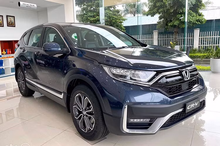 Oto nhap khau tai Viet Nam san sang choi lon 