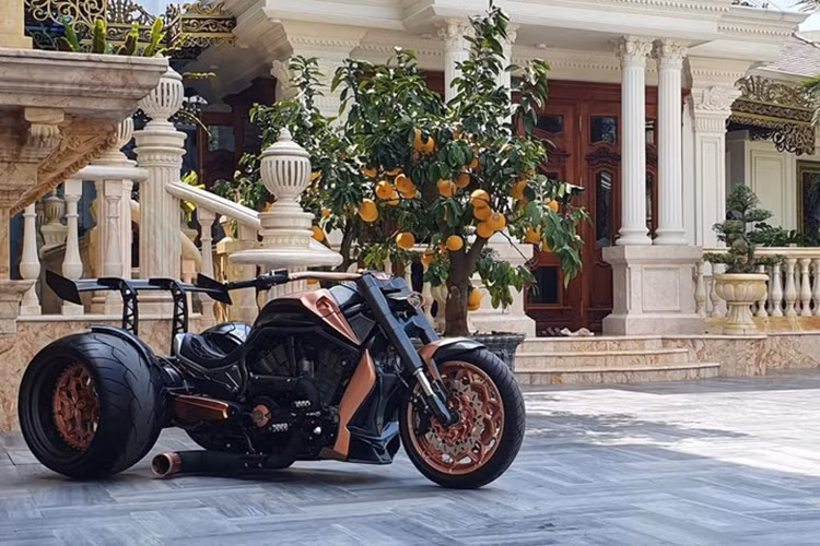 Ra mắt lần đầu tiên năm 2001, V-Rod của Harley-Davidson là thành viên đầu tiên nằm trong Lineup của dòng VRSC nhằm cạnh tranh với những chiếc mô tô cơ bắp của Nhật Bản và Mỹ. Harley-Davidson V-Rod cũng là niềm cảm hứng độ xe nhiều nhất của các tay chơi xe Harley-Davidson, trong đó, đa phần nhiều người chọn lắp trục độ cho bánh sau để tăng số bánh xe lên 2.