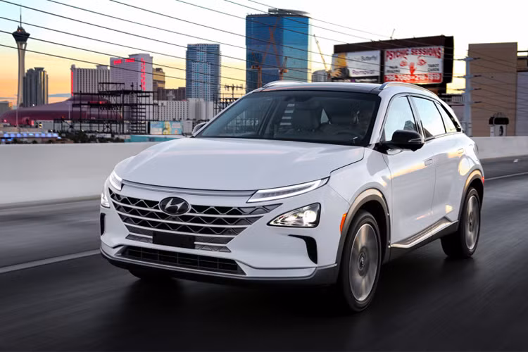 Với 733 đơn đặt hàng trong ngày đặt hàng trước của mẫu xe Nexo 2019, nó được xem là đối thủ đáng gờm của các mẫu xe ôtô điện đình đám khác cùng phân khúc hiện nay như Toyota Mirai hay Honda Clarity. 