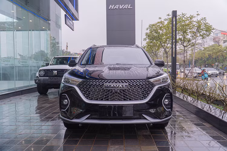 M6 sẽ là mẫu xe Haval thứ 3 có mặt tại thị trường Việt Nam, sau H6 và Jolion. Với giá bán dự kiến kể trên, Haval M6 khá rẻ trong phân khúc SUV cỡ C tại Việt Nam. Tuy nhiên, xe vẫn có những bất lợi như thiết kế và trang bị kém nổi bật cùng thương hiệu chưa phổ biến tại Việt Nam.