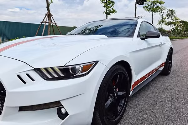 Ford Mustang phiên bản 2015 được trang bị hệ thống treo phía sau hoàn toàn mới (hệ thống treo độc lập), hệ thống treo MacPherson cho phía trước và hệ thống liên kết đa điểm phía sau. Các lò xo giảm xóc và các ống lót đã được thiết kế lại và điều chỉnh cho một chiếc xe có hiệu suất cao.