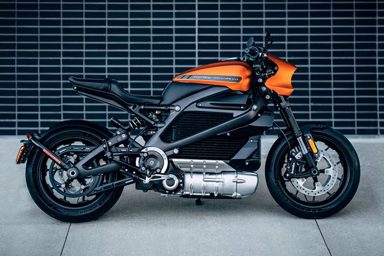 Harley-Davidson LiveWire 2019 không chỉ là mẫu xe điện duy nhất trong kế hoạch phát triển của Harley-Davidson. Đây sẽ là nền tảng cho những sản phẩm sau này của hãng dự kiến sẽ đến với khách hàng vào 2022.