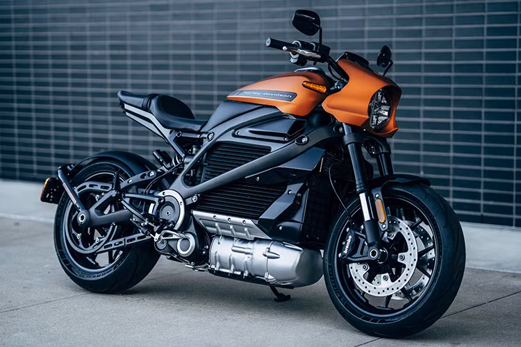 Can canh xe may dien Harley-Davidson gia 690 trieu dong