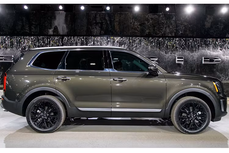 Telluride là chiếc SUV hàng đầu "flagship" của Kia tương tự như Palisade của Hyundai, được biết cả 2 mẫu xe này đều chia sẻ chung nền tảng khung gầm được phát triển bởi Hyundai Motor Group. Kia Telluride 2020 cùng với ‘’người anh em’’ Hyundai Palisade 2020 sẽ tham gia vào phân khúc SUV 3 hàng ghế cỡ tầm trung đầy béo bở tại thị trường Bắc Mỹ.