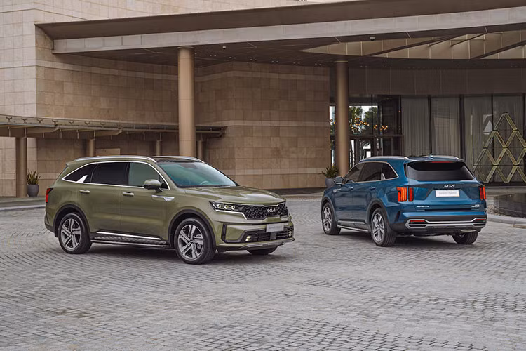  Kia Sorento: 116 xe Trong tháng 9/2024 vừa qua, Kia Sorento tăng trưởng mạnh với tỷ lệ lên đến 87%. Tuy nhiên, doanh số thực tế của xe khá khiêm tốn, chỉ đạt 116 chiếc. Do đó, mẫu xe Hàn Quốc này chưa thể cải thiện thứ hạng của mình trong phân khúc. Kia Sorento tại thị trường Việt Nam có tổng cộng 12 phiên bản và giá bán dao động từ 964 triệu đến 1,499 tỷ đồng.