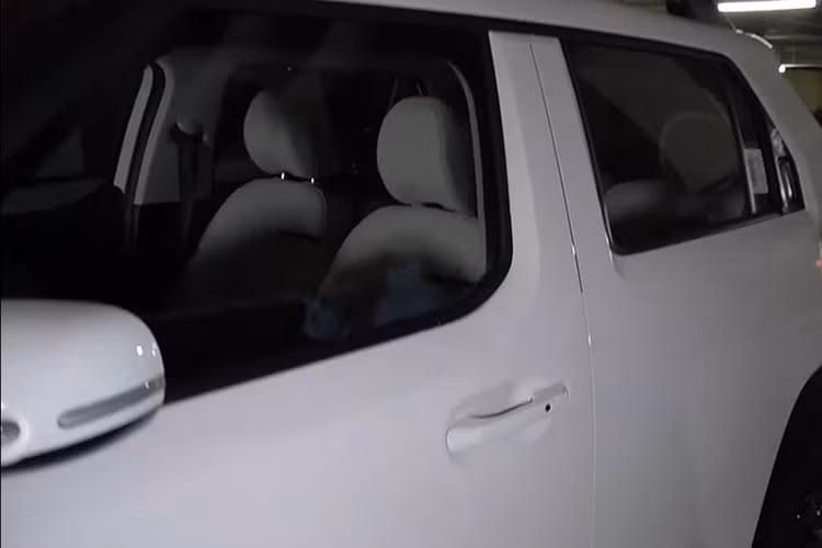 Nhiều nguồn tin cho biết, chiếc SUV cỡ nhỏ nhỏ này sẽ có hai tùy chọn động cơ gồm máy xăng hút khí tự nhiên, dung tích 1.0 lít MPI và xăng tăng áp T-GDI 1.0 lít. Đáng chú ý, động cơ tăng áp sẽ sản sinh công suất 100 mã lực và mô-men xoắn 172 Nm giống trên i10 N Line.