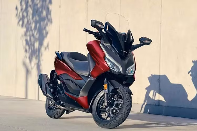 Tại thị trường Việt Nam, mẫu xe này có tên gọi quen thuộc với cái tên Honda Forza 250, tuy nhiên không được phân phối chính hãng. Nếu được đưa về Việt nam, xe dự đoán sẽ giữ nguyên cái tên Honda NSS250 và sẽ thông qua các nhà nhập khẩu phân phối tư nhân.