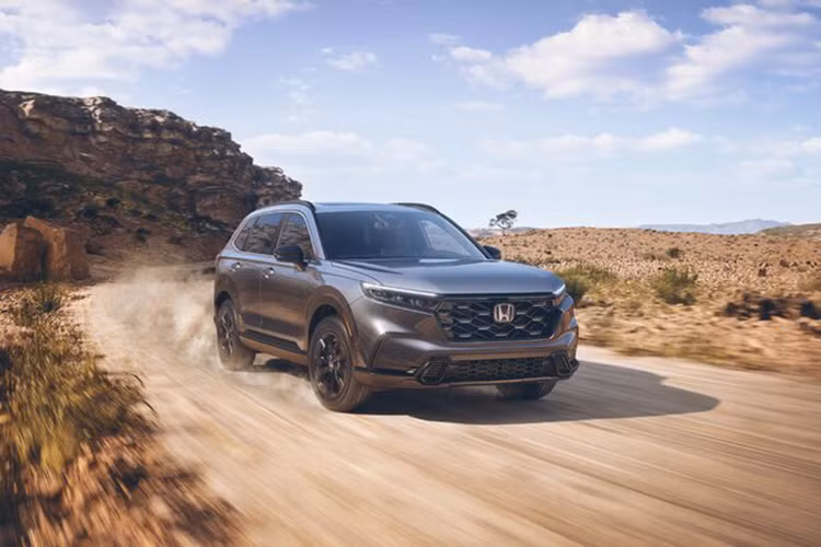 Các nâng cấp đối với mẫu xe SUV Honda CR-V TrailSport có thể sẽ ít mạnh mẽ hơn và chủ yếu tập trung vào phong cách thiết kế. Điều này cho thấy mẫu xe này sẽ tiếp tục là một chiếc "soft-roader" tương tự như Nissan Rogue Rock Creek.