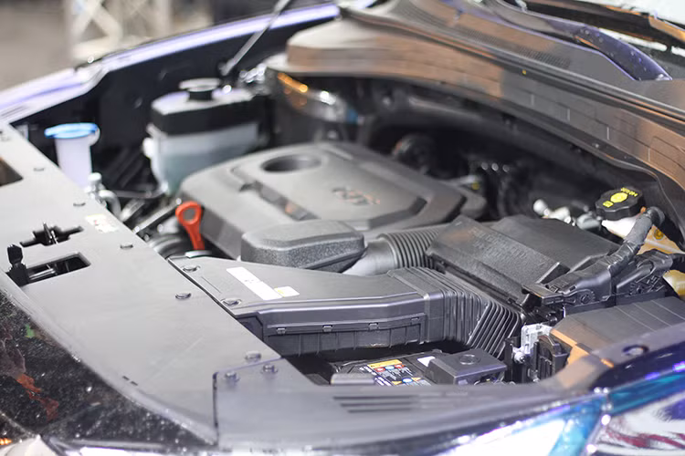 Tại Việt Nam, Hyundai SantaFe 2019 được phân phối với 6 phiên bản và 6 lựa chọn màu sắc gồm đen, trắng, đỏ đô, bạc, vàng cát và xanh dương. Cùng với đó là 2 phiên bản động cơ. Động cơ xăng Theta II 2,4 lít cho công suất 188 mã lực tại 6.000 vòng/phút và mô-men xoắn 241 Nm tại 4.000 vòng/phút, đi kèm với hộp sô tự động 6 cấp Shifttronic. 