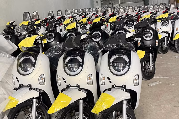 Giữa tháng 3/2025, mẫu xe tay ga Honda Scoopy 2025 về Việt Nam đã được một đại lý tư nhân nhập khẩu và phân phối ở TP.HCM. Theo thông tin từ đại lý, lô xe lần này thuộc phiên bản Smartkey và được nhập khẩu từ Indonesia.