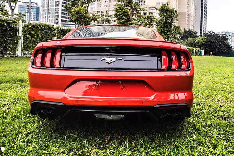 Phần đầu, Ford Mustang 2020 phiên bản giới hạn 1 trong 55 chiếc trên toàn cầu duy trì thiết kế nắp ca-pô dài gia tăng tính Sport cho xe. Trên nắp ca-pô xe Ford Mustang còn sở hữu 2 hốc gió cùng khả năng hợp sức với lưới tản nhiệt làm mát động cơ. Hệ thống chiếu sáng là đèn LED với bóng Projector, cùng với đó là 3 dải LED định vị ban ngày, đèn sương mù trên xe tiếp tục được đặt ngang kèm hốc gió đầy tính khí động học.