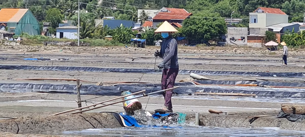 Để có những hạt muối trắng tinh khiết, diêm dân phải chuẩn bị hết sức công phu: Cải tạo nền đất, nạo vét, phơi bùn, nện chắc nền ruộng. 