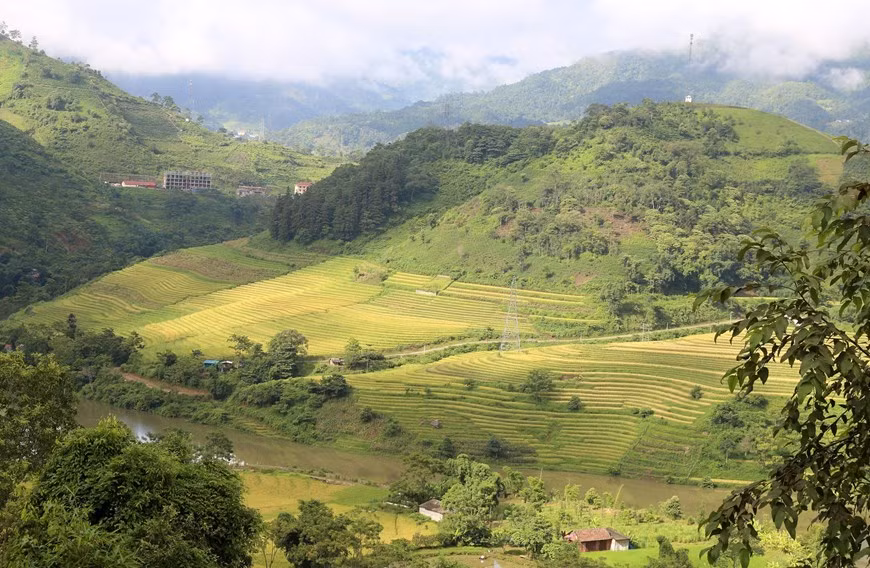Thung lũng ruộng bậc thang xã Mường Hum vào mùa lúa chín.
