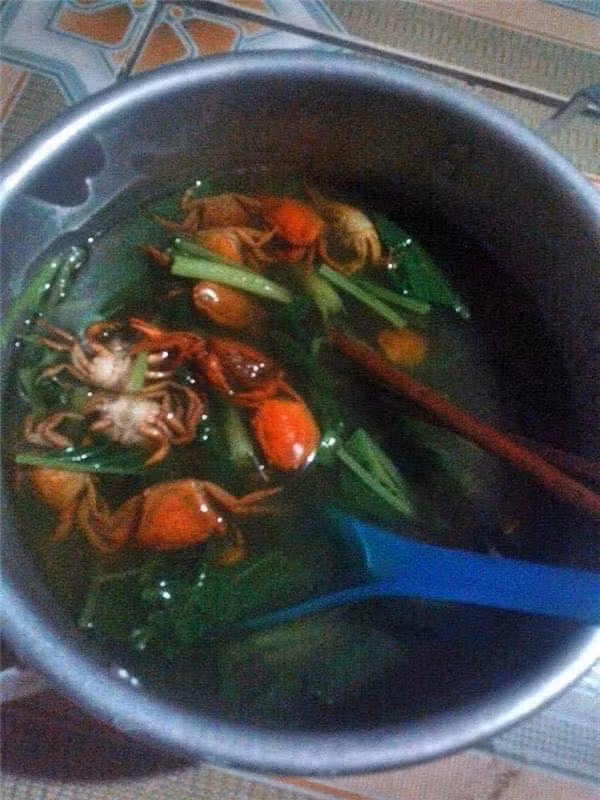 Món canh cua này hơi lạ...
