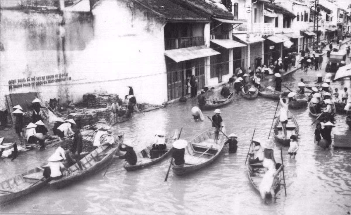Trong trận lụt Giáp Thìn 1964, hơn 30.000 con heo, gà, trâu, bò ở Quảng Nam bị chết, xuôi theo dòng nước về tận vùng biển, ùn ứ lại thành một bờ đê xác súc vật...