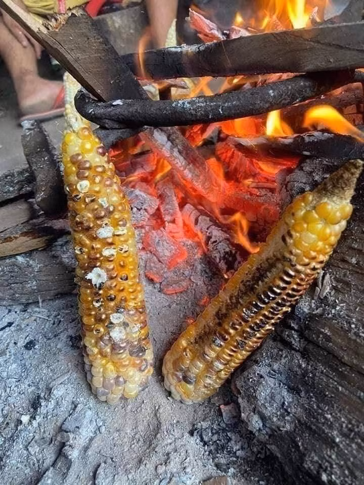 Ngô nướng vùi than ngon phải biết.