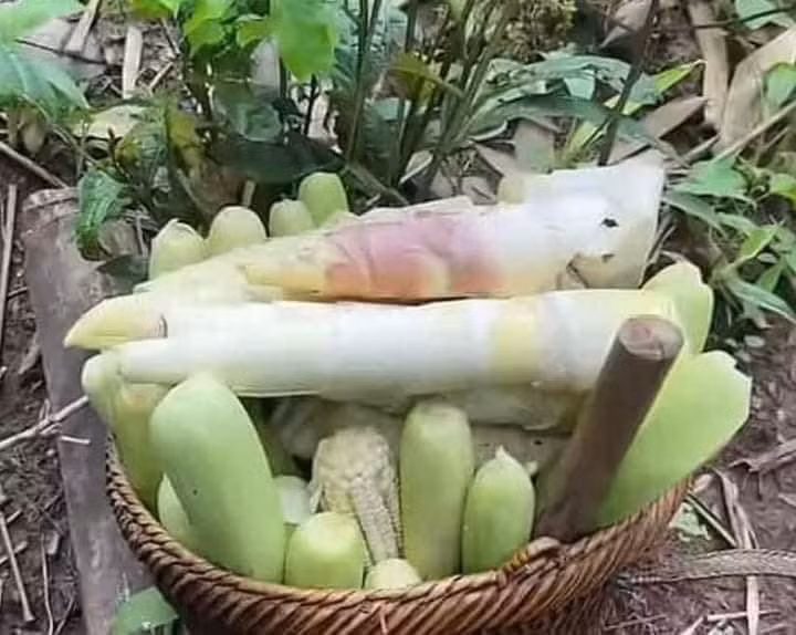 Có những món ăn tuổi thơ giống như mối tình đầu, lúc trải qua luôn để lại những ấn tượng khó phai, tuy nhiên khi được thưởng thức lại thì chưa chắc cảm nhận được sự thơm ngon ngày ấy.