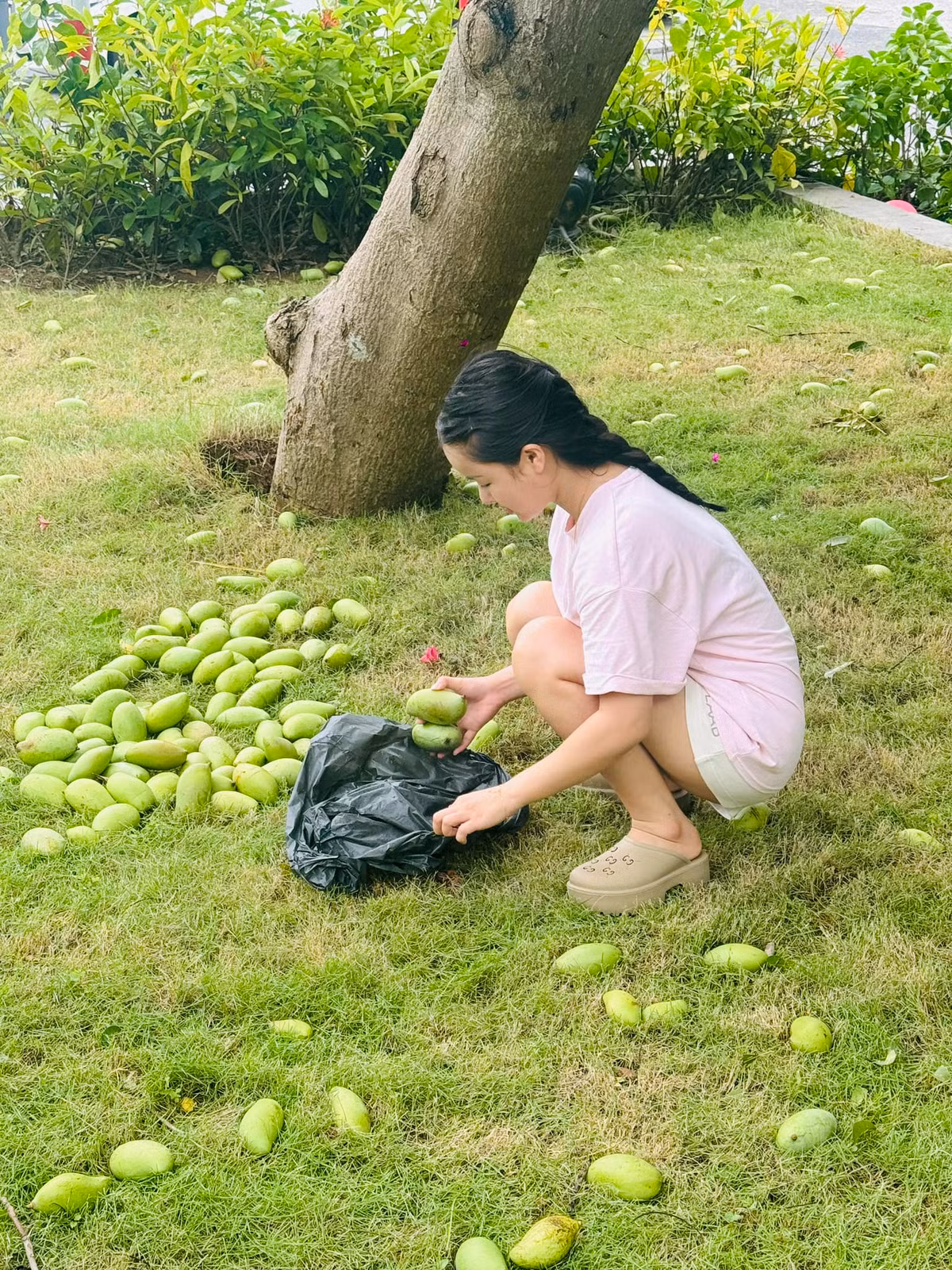 Xoài non là món khoái khẩu của rất nhiều chị em. (Ảnh: tổng hợp Facebook)