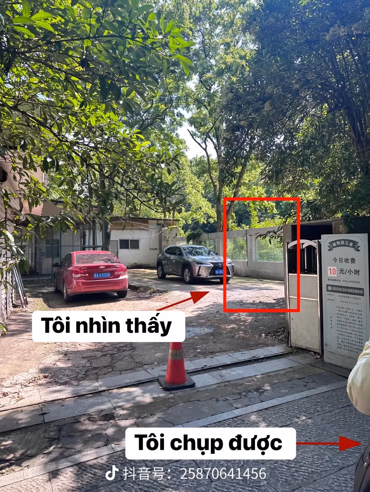 Nhiều người không khỏi xuýt xoa với thành quả của những bức ảnh này.